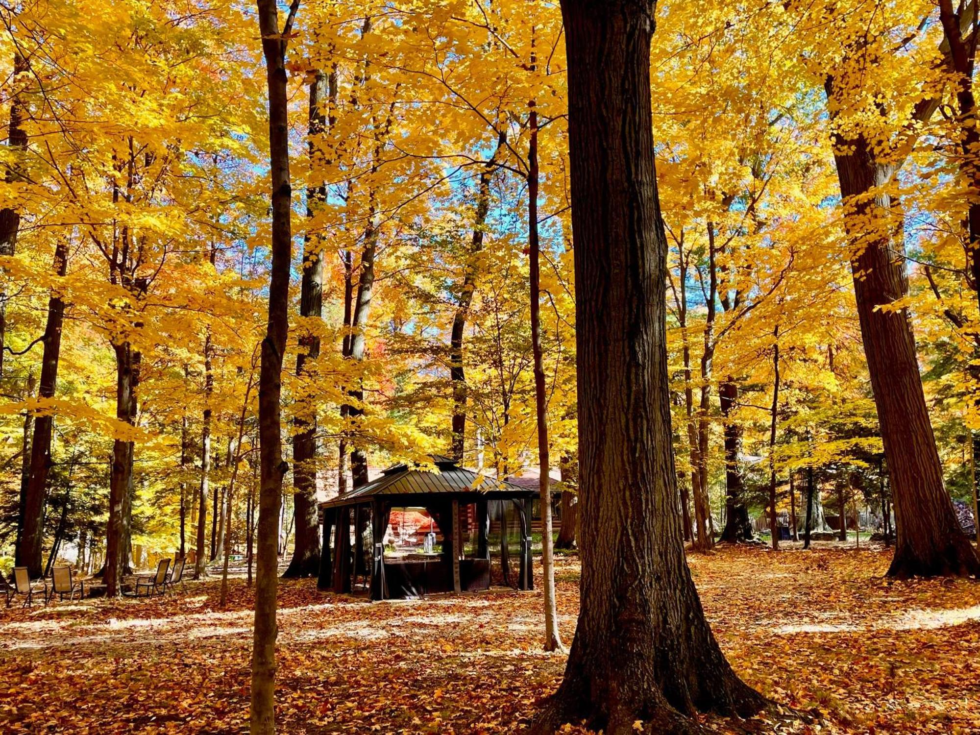 Log Cabin - Natures Oasis - Fire Pit & Gazebo Кливленд Экстерьер фото